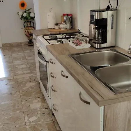 公寓 Lana 扎达尔